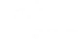 sdspay2